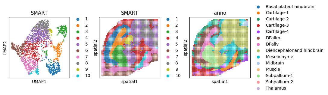../_images/tutorials_Tutorial_3_MISAR-seq_mouse_brain_data_integration_17_0.png